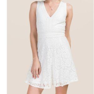 Francesca's Malinda Metallic Lace A-Line Dress